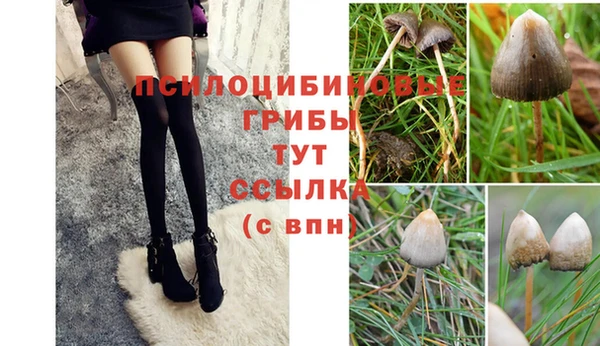 ALPHA-PVP Новокубанск