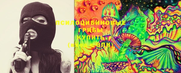 MDMA Новозыбков