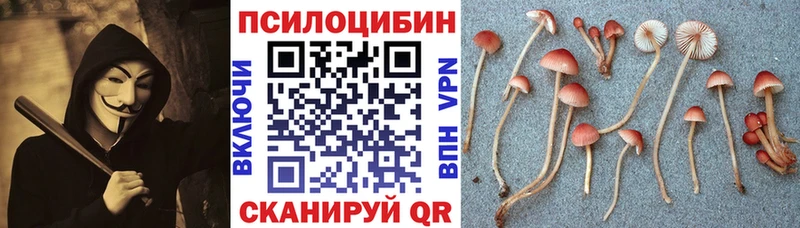 Галлюциногенные грибы ЛСД  даркнет состав  Чкаловск  ОМГ ОМГ рабочий сайт 